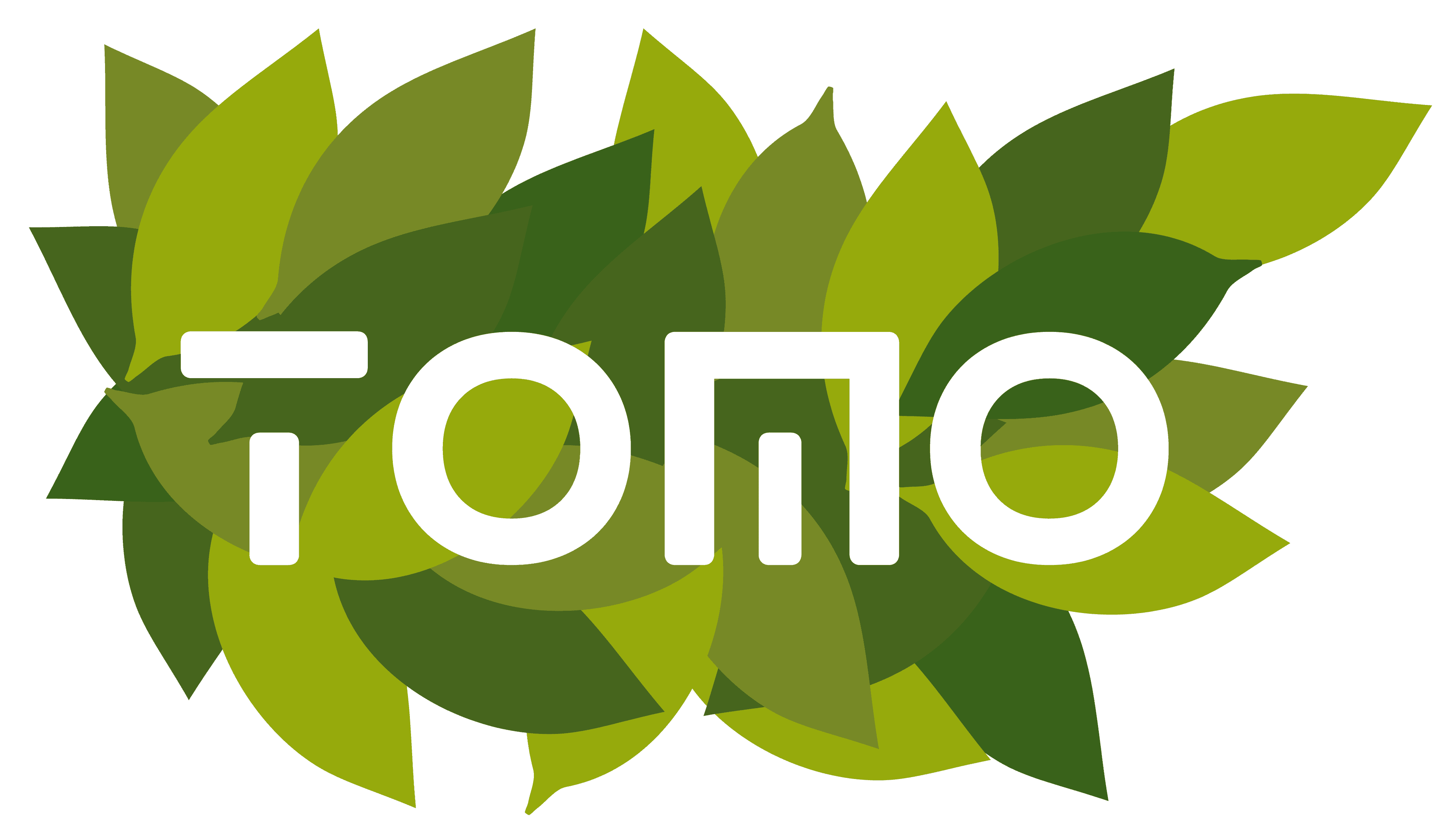 Tomo Café